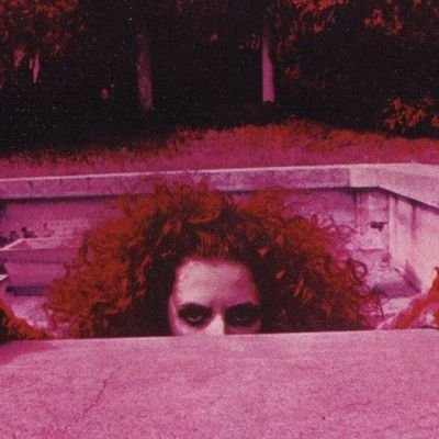 copasedic's profile picture. on-chain adventure diary