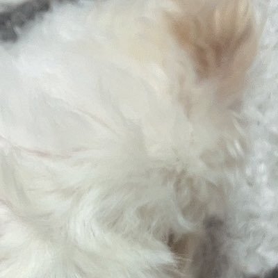 なにしようかな