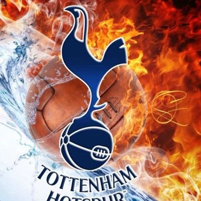 🚨Don't hate me cos my opinion ain't the same as yrs ⚠️...
#spurs🦘
 U̲̅F̲̅C̲̅.B̲̅O̲̅X̲̅I̲̅N̲̅G̲̅🥊
Tattooed as fuck💉