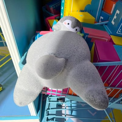 allnightryosuke's profile picture. リトルトゥース / #ラヴィット！ / ポケモンGO / ドラクエウォーク / デカヌチャン