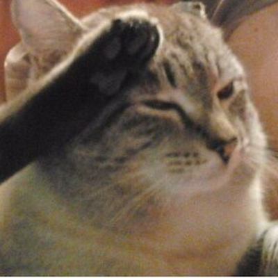 Catcommander181's profile picture. 