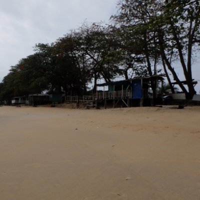 annkevsa's profile picture. 