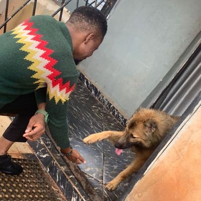 MEbuEZE's profile picture. Medical Doctor | Artiste | Healthusiast | Strategist | Innovator | Writer | TL @bSQforLMICs