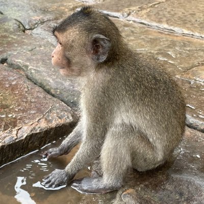 Oly_Cyclopedia's profile picture. 走ることしか能がない
お金よりも学びよりも健康だよ