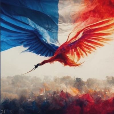 Il n'est point de bonheur sans liberté, ni de liberté sans courage. 
FRANCE first 🇫🇷 pas de MP svp😁