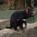 Eric Bauer - @edbauer6 - Twitter