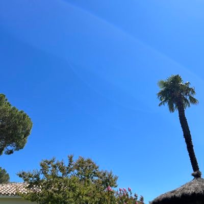 nvanginhoven1's profile picture. 