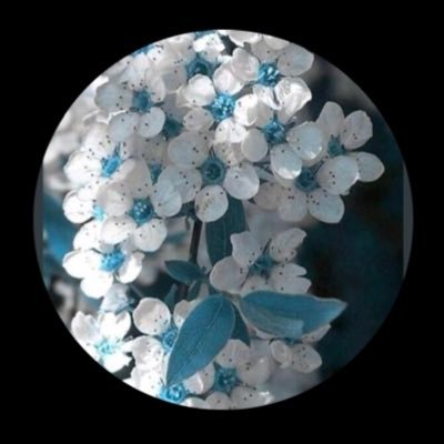 Fatmaa__77's profile picture. كن مبتسماً .. ولو بلغ بك الأسى بحرا ..