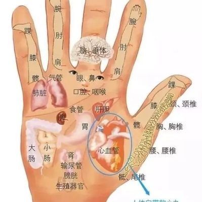 Hanyi124468's profile picture. 