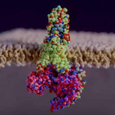 PiperProteins Profile Picture