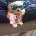 Fredrick Gardner - @FGardner2001 - Twitter