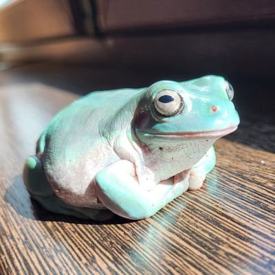 PsevdoDanil's profile picture. 