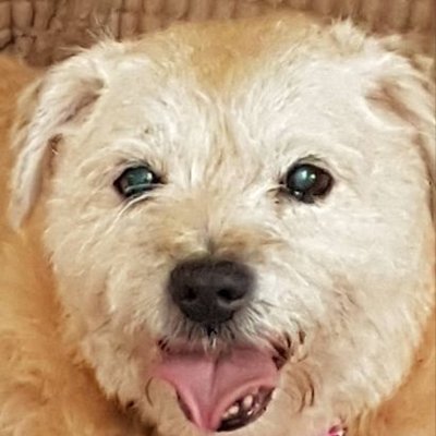 Atlas1311106's profile picture. 