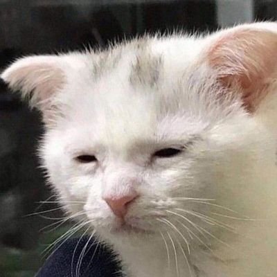 Suckmyd1ck007's profile picture. 