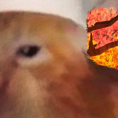 우미さんのプロフィール画像
