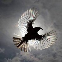 சிறகுகள்.....! (@praveenkum83846) 's Twitter Profile Photo