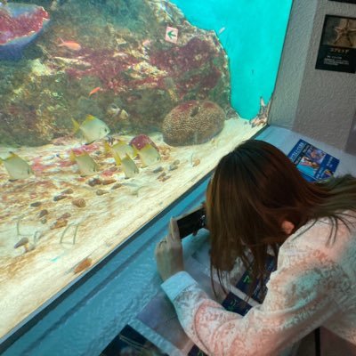 もとさんのプロフィール画像