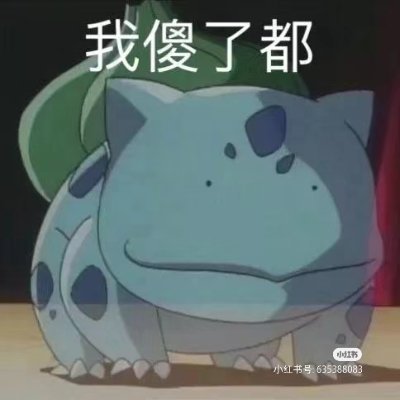 kinchen_fly's profile picture. 