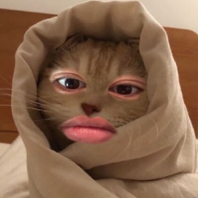 NookOBaby's profile picture. It's Me Nook