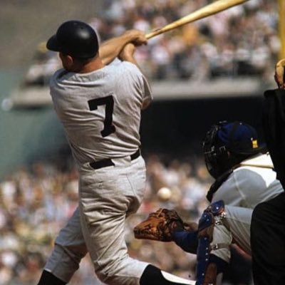 NY Yankee fan for life, love and respect all animals, clear the shelters, #HarrisWalz2024, #voteblue2024, #trump4prison