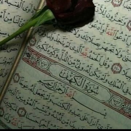 LoloElga7ba's profile picture. سبحان الله وبحمده سبحان الله العظيم