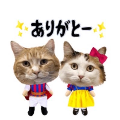 サザン 桑田さん大好き💕 にゃんこ2匹飼ってます。こてつとあん🐈無言フォロー許してね🙏未だにツイッターに慣れない💦