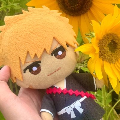 Sei | Ichigo’s one and only husbandさんのプロフィール画像