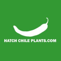 Hatch Chile Plants (@hatchplants) 's Twitter Profile
