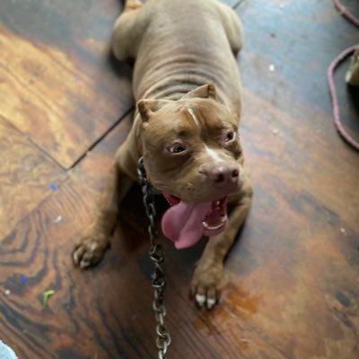 DeandreReyolds's profile picture. Ig:@yayskisnook Rest easy pook 💙💪🏾 YouTuber:Dre1x go sub major content