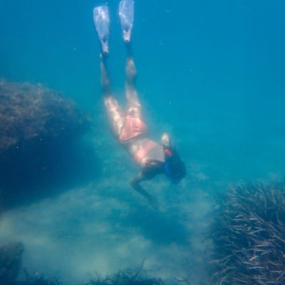 ItxiFerrer's profile picture. Marine Scientist  🌊💙