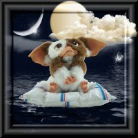 SandraLö (@sandral04243330) 's Twitter Profile Photo SandraLö (@sandral04243330) 's Twitter Profile Photo