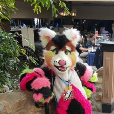 Munchkin loves to travel, raves, fursuiting and fursuit building and designing