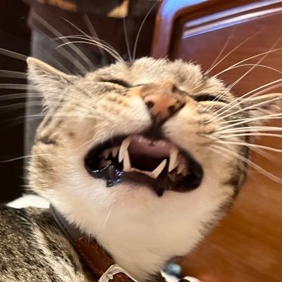 Murankin's profile picture. 趣味；コーヒー、料理、ゲーム♪ 脳幹出血から生還、片麻痺、能天気に生きる毎日が幸せ