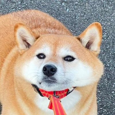 ButtLord222's profile picture. 24, M