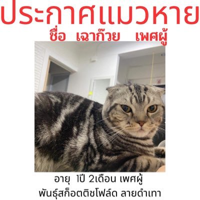 Cigarettes_eiei's profile picture. id:assadawutkung