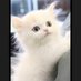 사람 (@m7297474) Twitter profile photo 사람 (@m7297474) Twitter profile photo