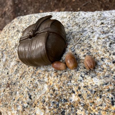 Hrknt_0w0's profile picture. 好きなことに没頭します。なんでもこいな雑食。