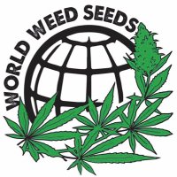 World Weed Seeds(@worldweedseeds) 's Twitter Profileg