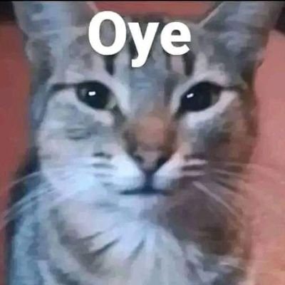 Imperial232000's profile picture. 