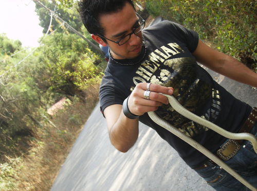 alternativo69's profile picture. Dedicado al mundo de las autopartes, Idolatra del Rock y los nopales.