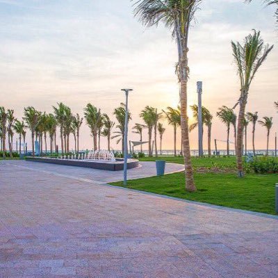 ma7moudosman408's profile picture. @ma7moudosman