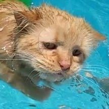 kitrさんのプロフィール画像