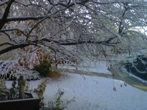 christmas_elfs's profile picture. 