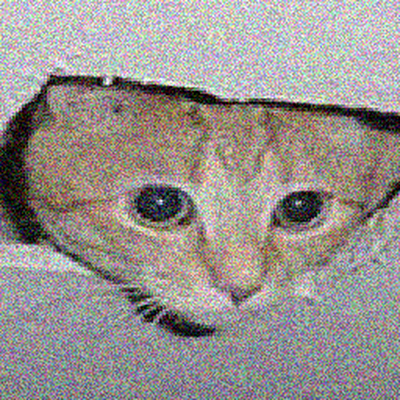 NufshiTheCat's profile picture. I'm 17,
3D artist(i suck tho🕳🕳)