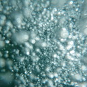 Jay Poe - @pretzlplopper - Twitter