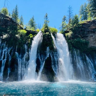 thisdanielwen's profile picture. 