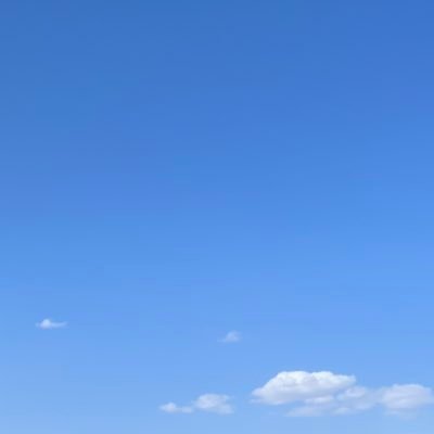 eltacho1's profile picture. 👾