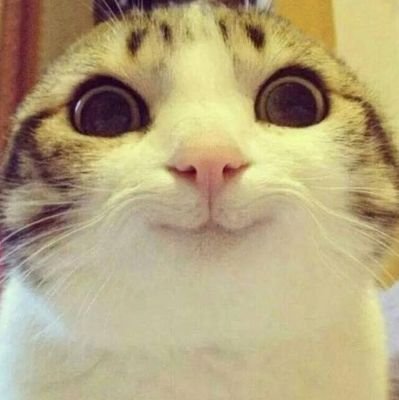 SanierOlan's profile picture. Nique un facho
(Canna jtm)