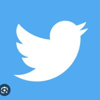 elanor 🍃💚🍃 (@elly189245978) 's Twitter Profile