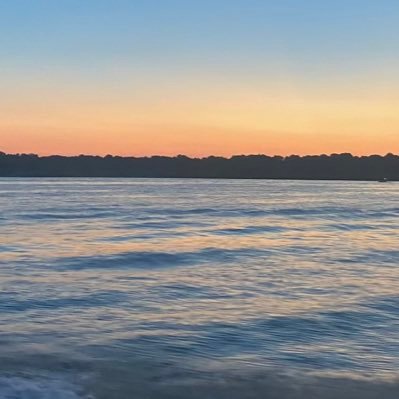 TimLeon00065653's profile picture. 